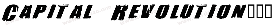 Capital Revolution字体转换
